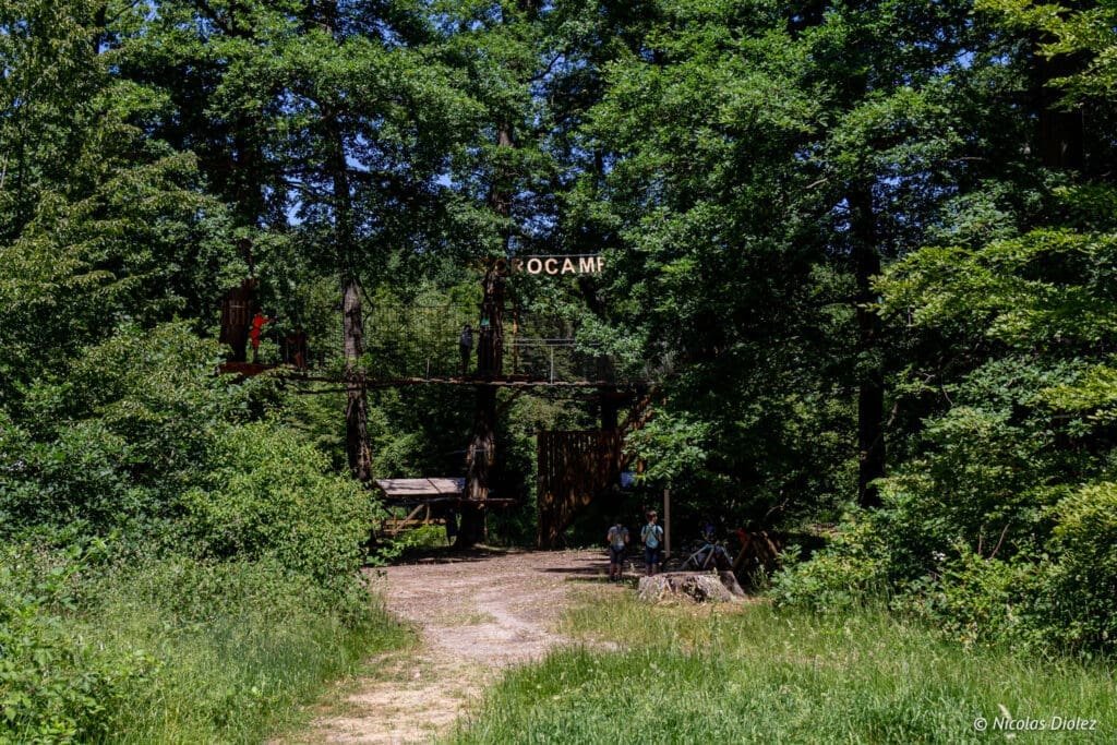 AccroCamp Saint Germain en Laye - DR Nicolas Diolez 2020 forest trees treetop adventure
