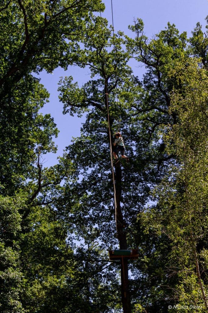 tree child zipline