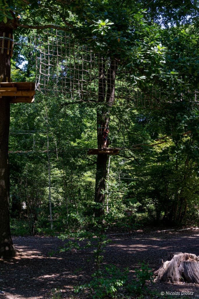 treetop adventure infrastructure forest
