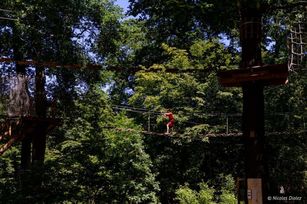 AccroCamp Saint Germain en Laye - DR Nicolas Diolez 2020 suspended bridge trees