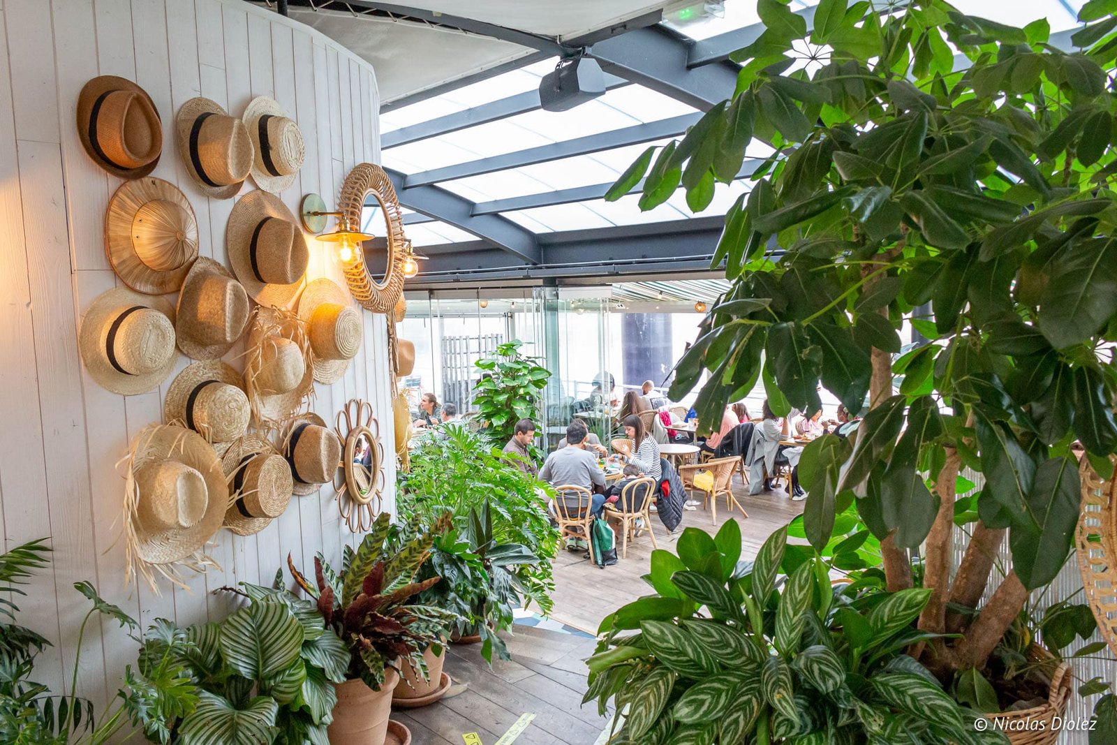 Polpo, la Brasserie sur l’eau