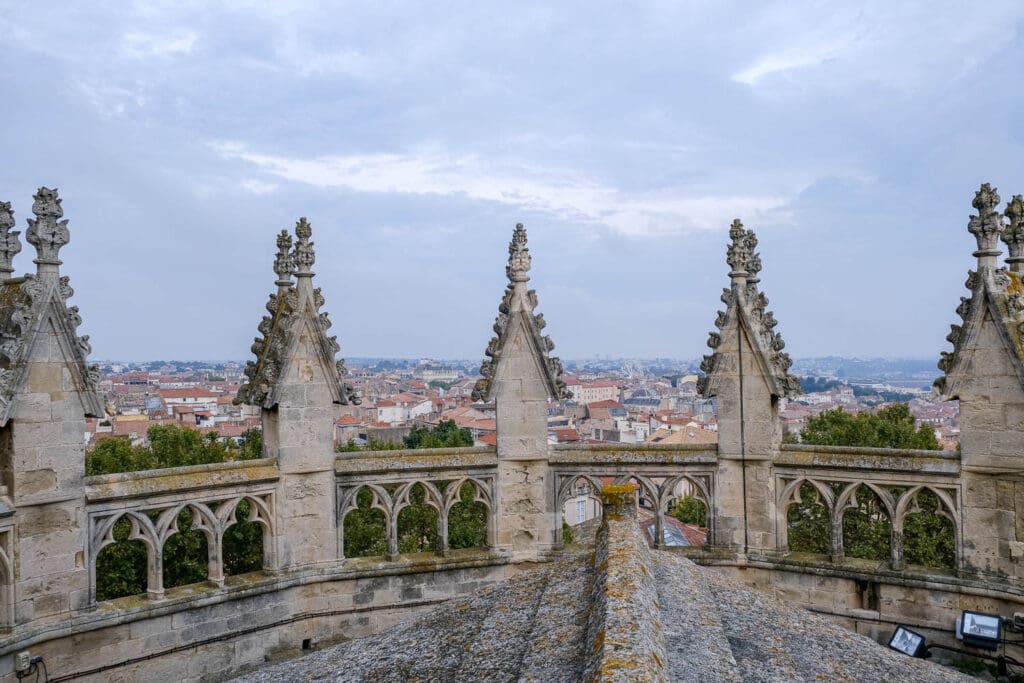 Toits cathédrale de Béziers