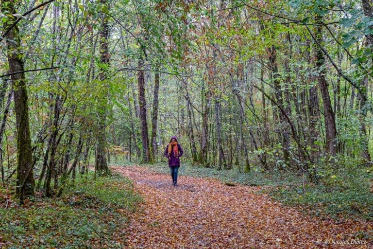 Kurztrip in die Haute-Marne im Parc national de forêts