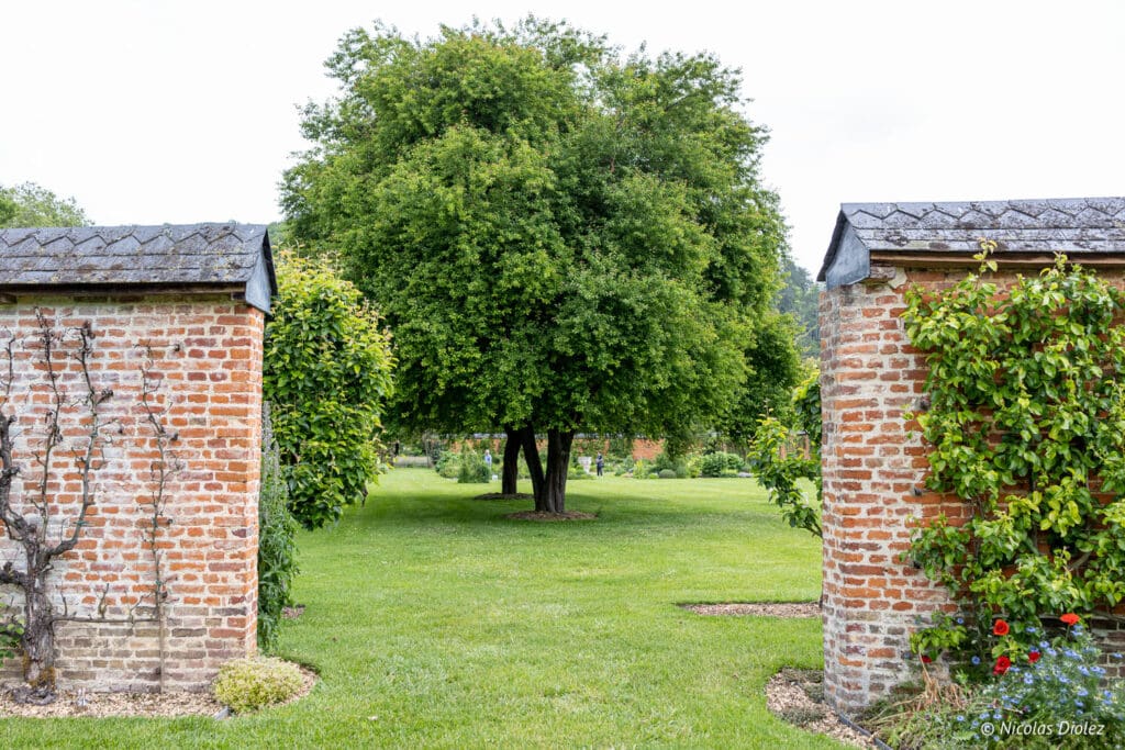 potager jardin du Château d'Acquigny