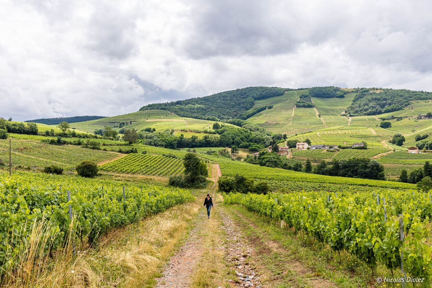 Week-end Bienvenue en Beaujonomie