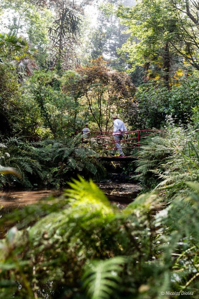 Jardin en Hommage à Jacques Prévert, promenade sur un pont au-dessus d'un ruisseau.