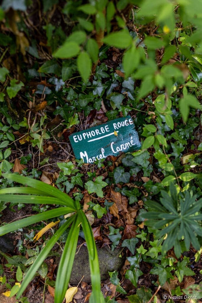 Placard "Euphorbé Rouge Marcel Carné" dans le Jardin Hommage Jacques Prévert.