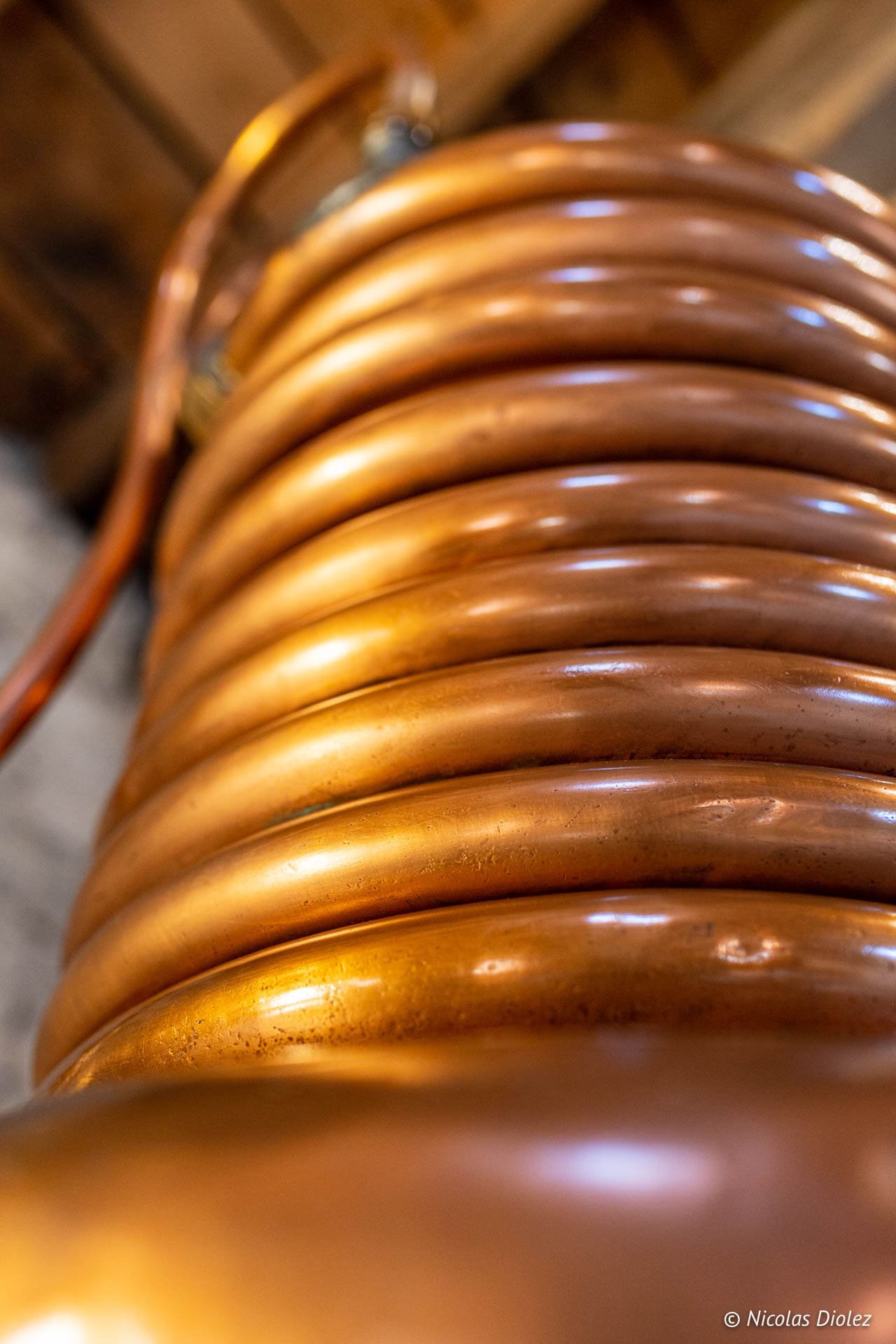 Gros plan sur les serpentins en cuivre d'un alambic à l'Écomusée du Pays de la Cerise.