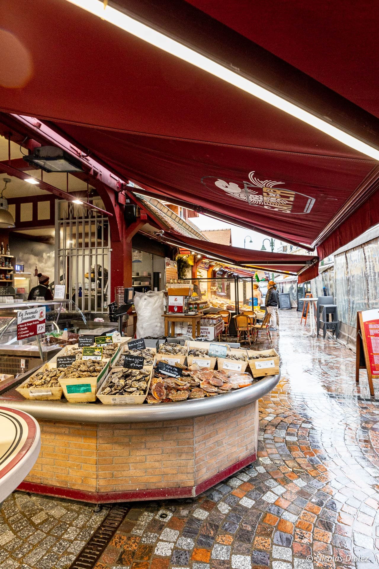 Huîtres et coquilles Saint-Jacques au marché de Trouville sous un auvent rouge.