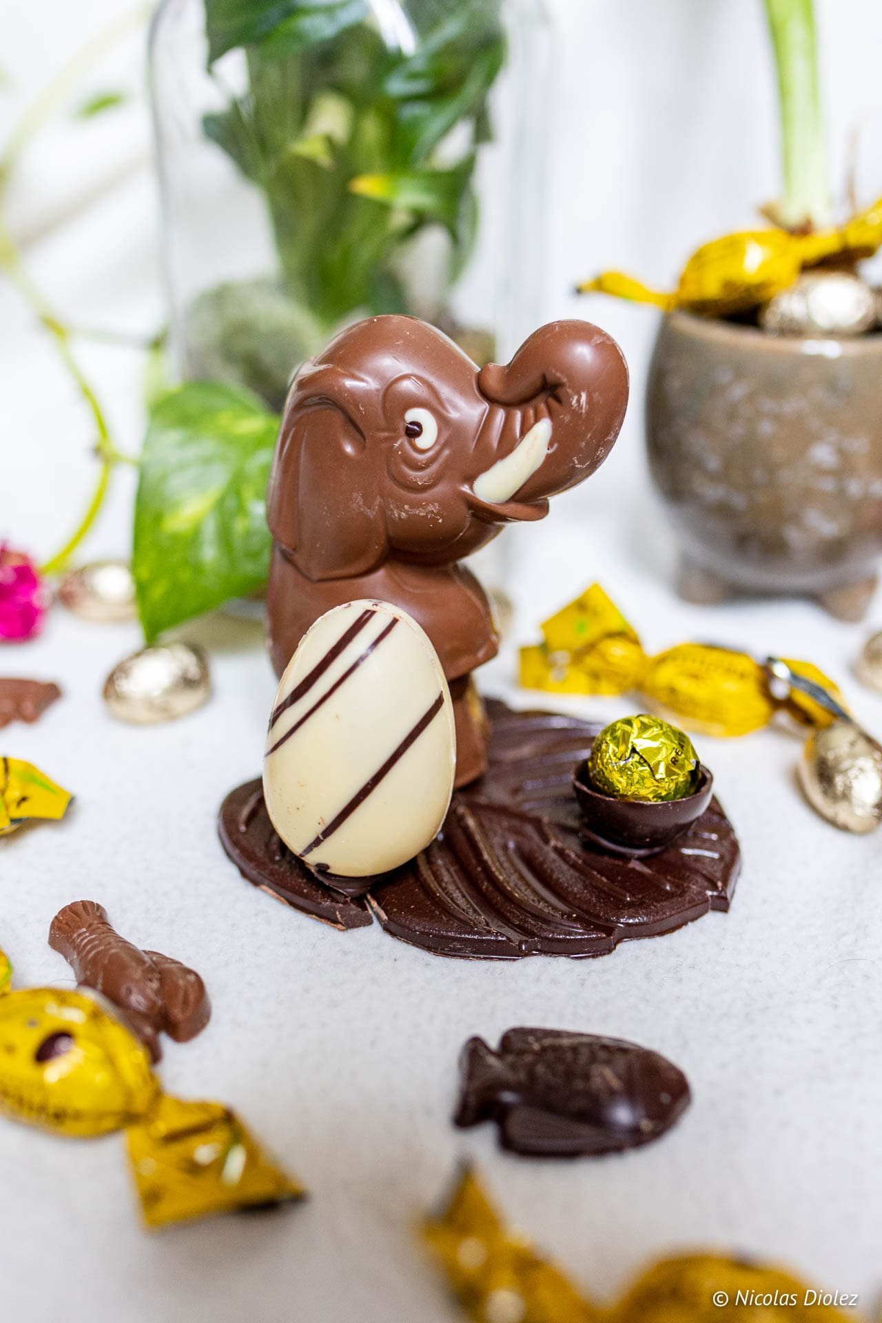 Elephant Easter chocolate with white egg and wrapped candies.