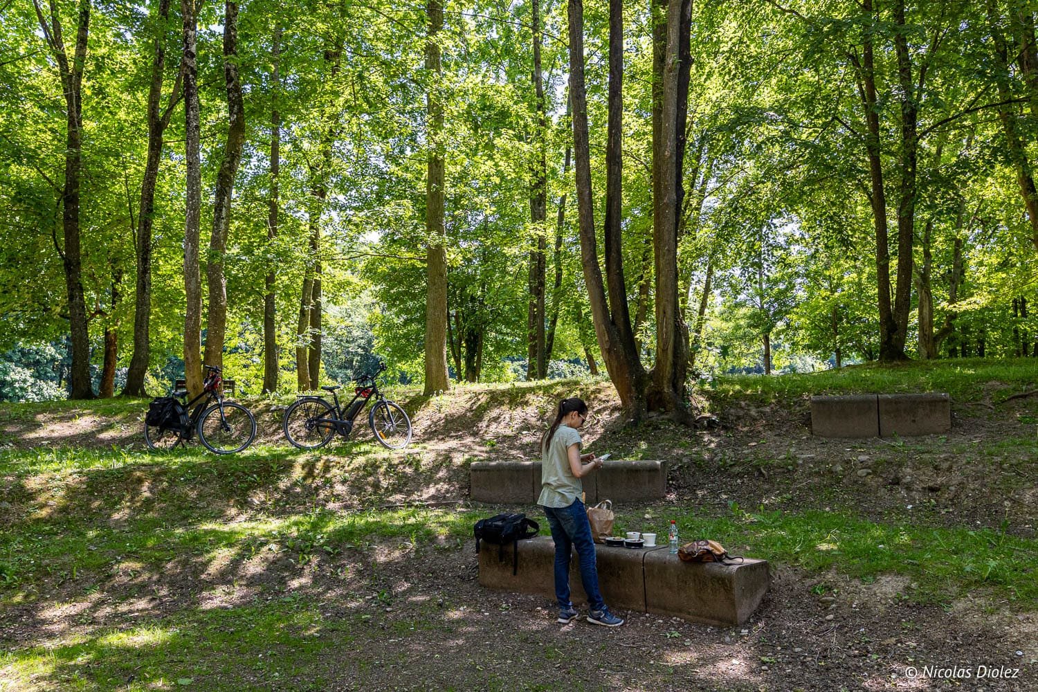 Cyclistes faisant une pause pique-nique en forêt près d'Épinal avec des vélos électriques.