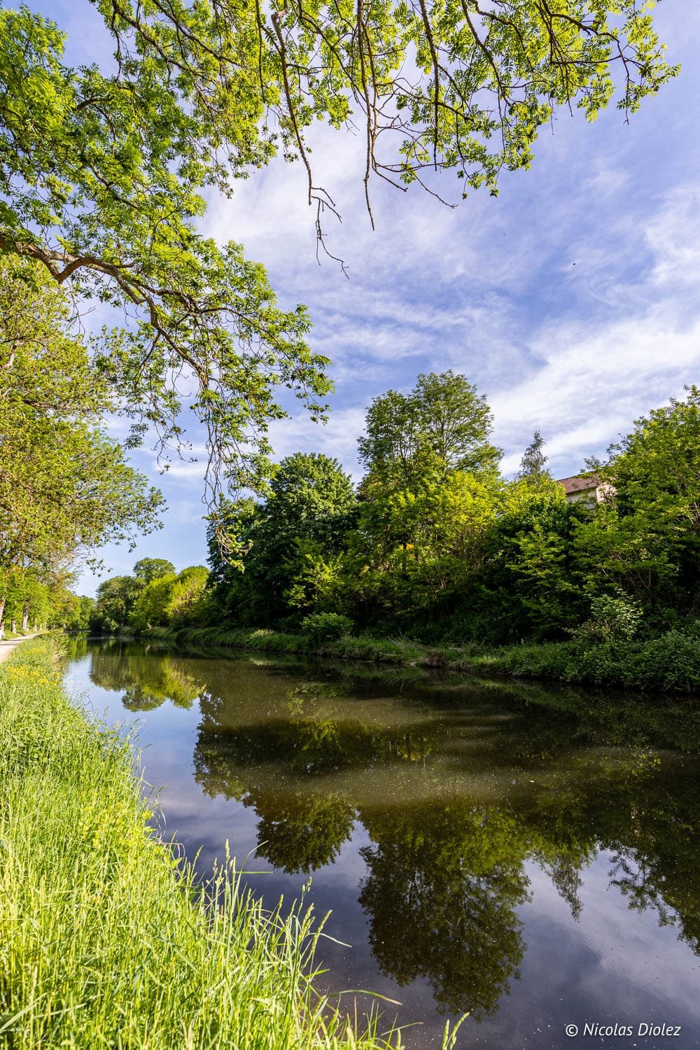Canal bordé d'arbres et de verdure près d'Épinal, idéal pour une balade à vélo.