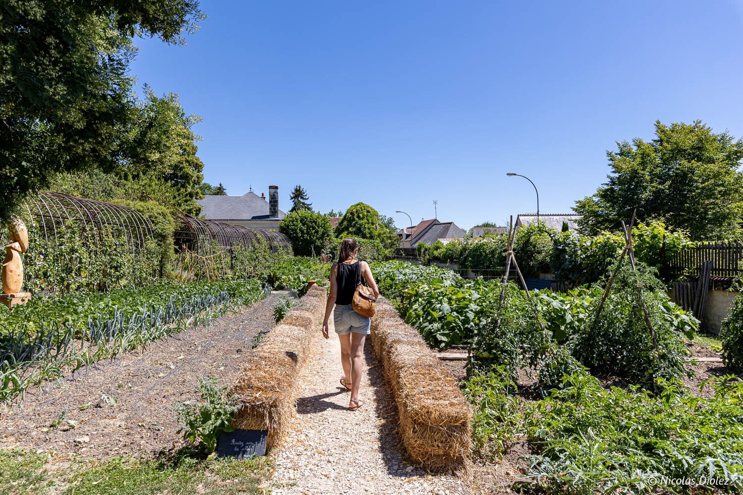 Promenade dans un potager du Parcours artistique BeauxLieux à Chedigny, près de Loches.
