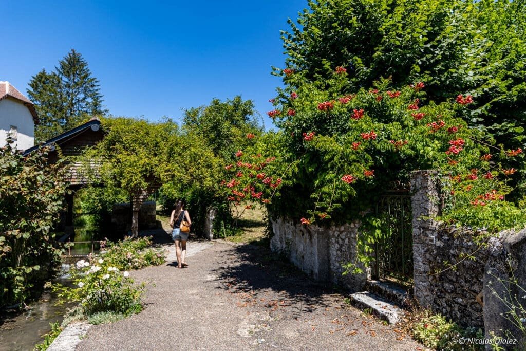 Chédigny: femme marchant vers un pont couvert près de fleurs grimpantes rouges.