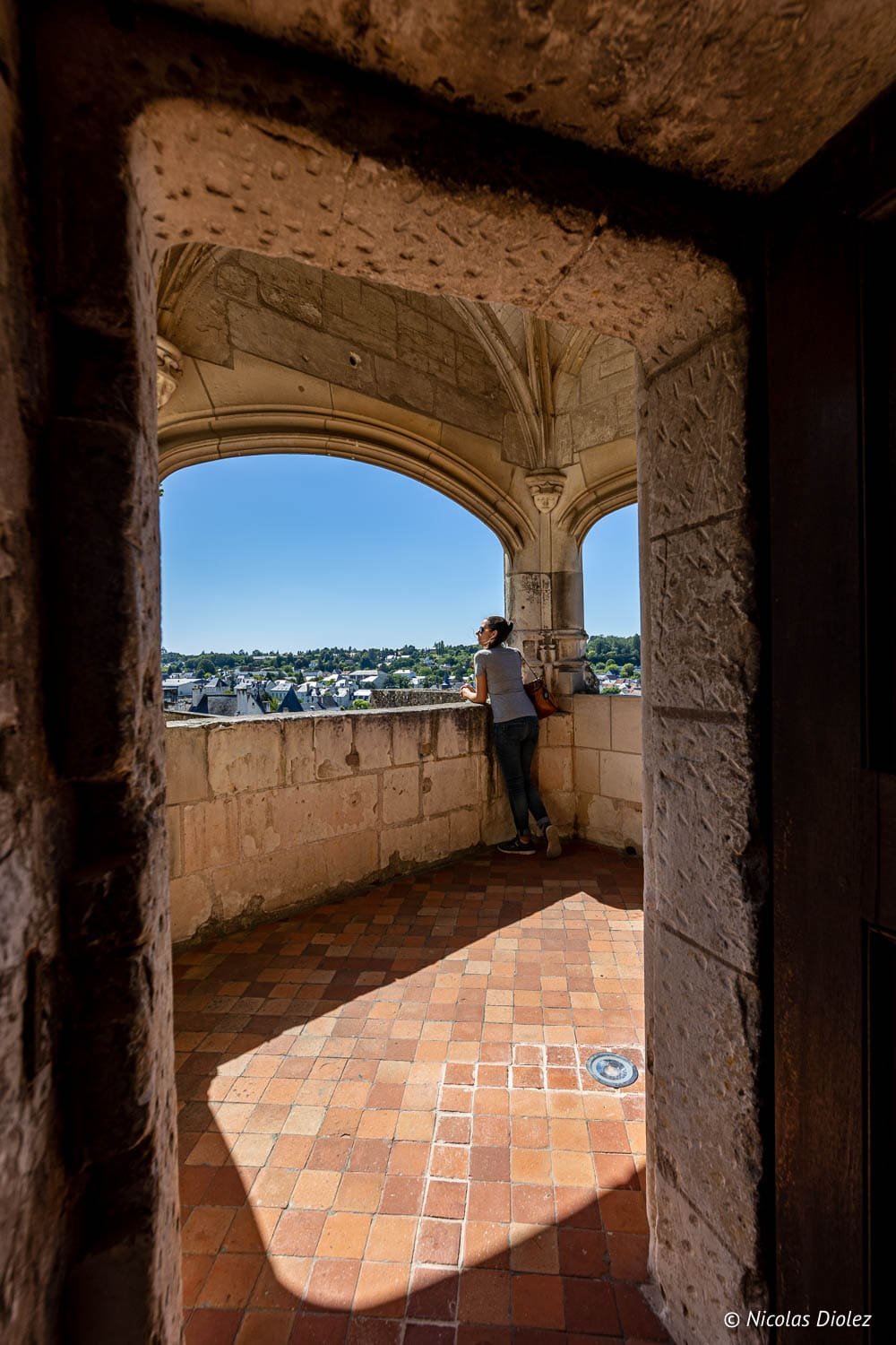 Vue depuis la forteresse médiévale de Loches sur la ville et la campagne.
