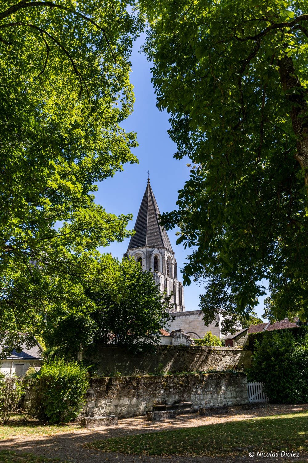 Flèche de clocher de Loches vue à travers le feuillage des arbres verts.