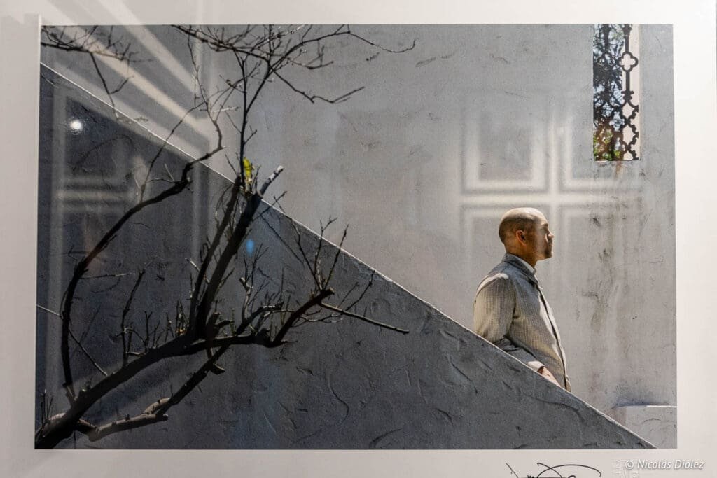 Exposition Jean-Marie Périer à Villeneuve d'Aveyron, portrait homme profil.