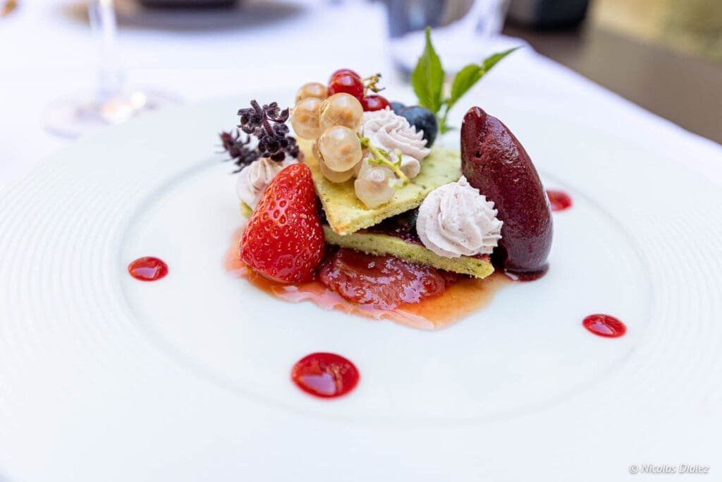 Gourmet red fruit dessert, sorbet, and cream on a white plate.