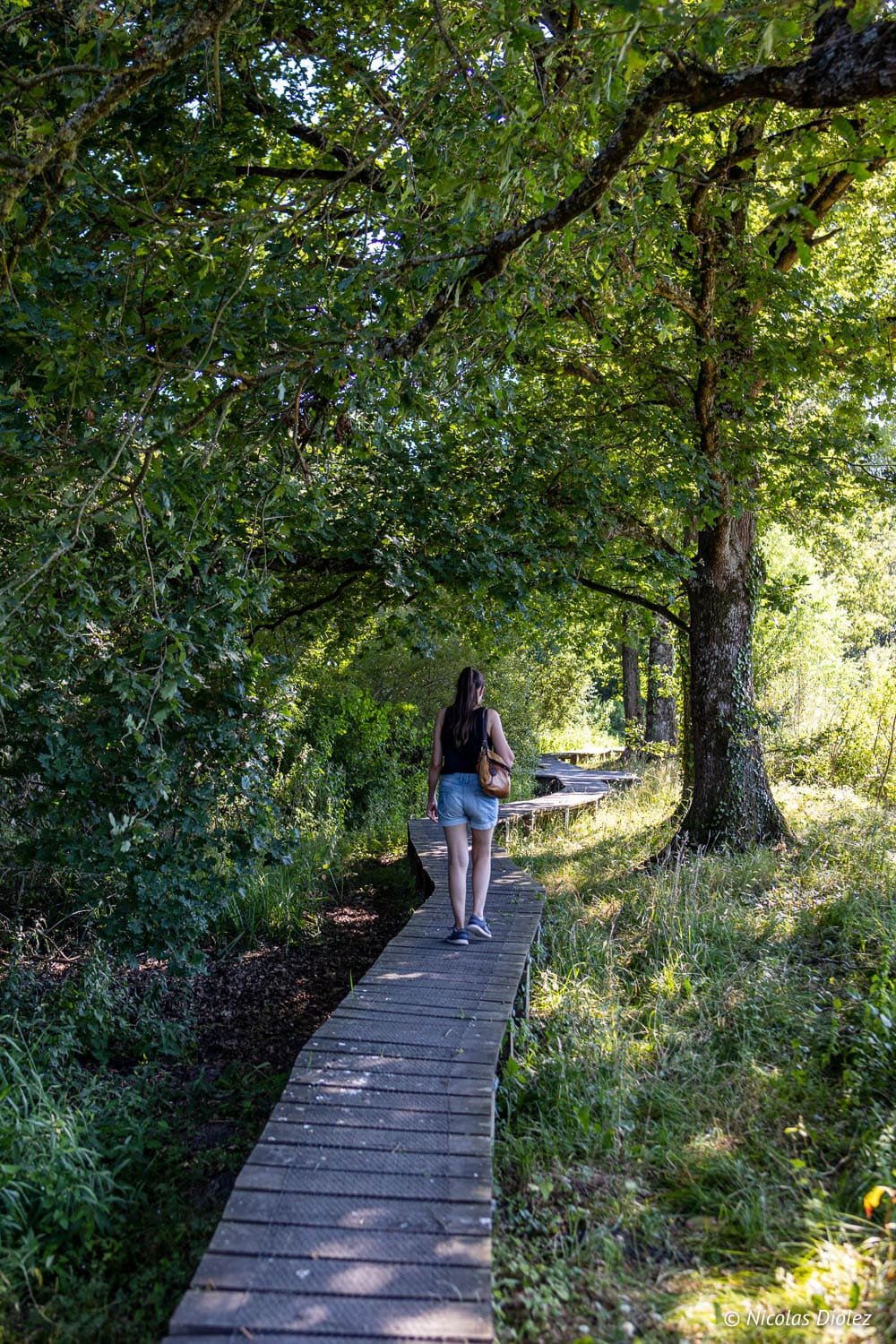 Randonnée femme sur chemin de planches sous les arbres près de Loches.