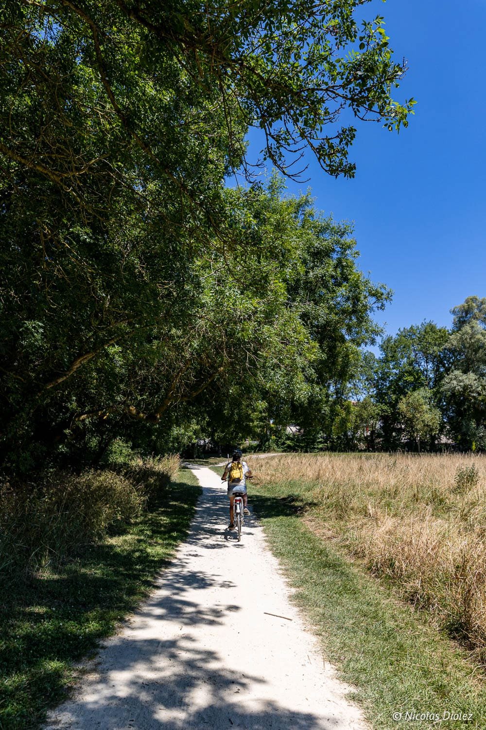 Cycliste sur chemin de terre ombragé près de Loches, balade à vélo dans le Sud Touraine.