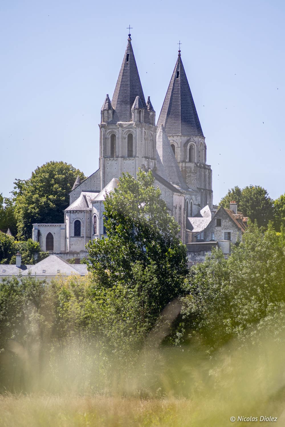Église Saint-Pierre de Loches et ses toits médiévaux vus à travers la végétation.
