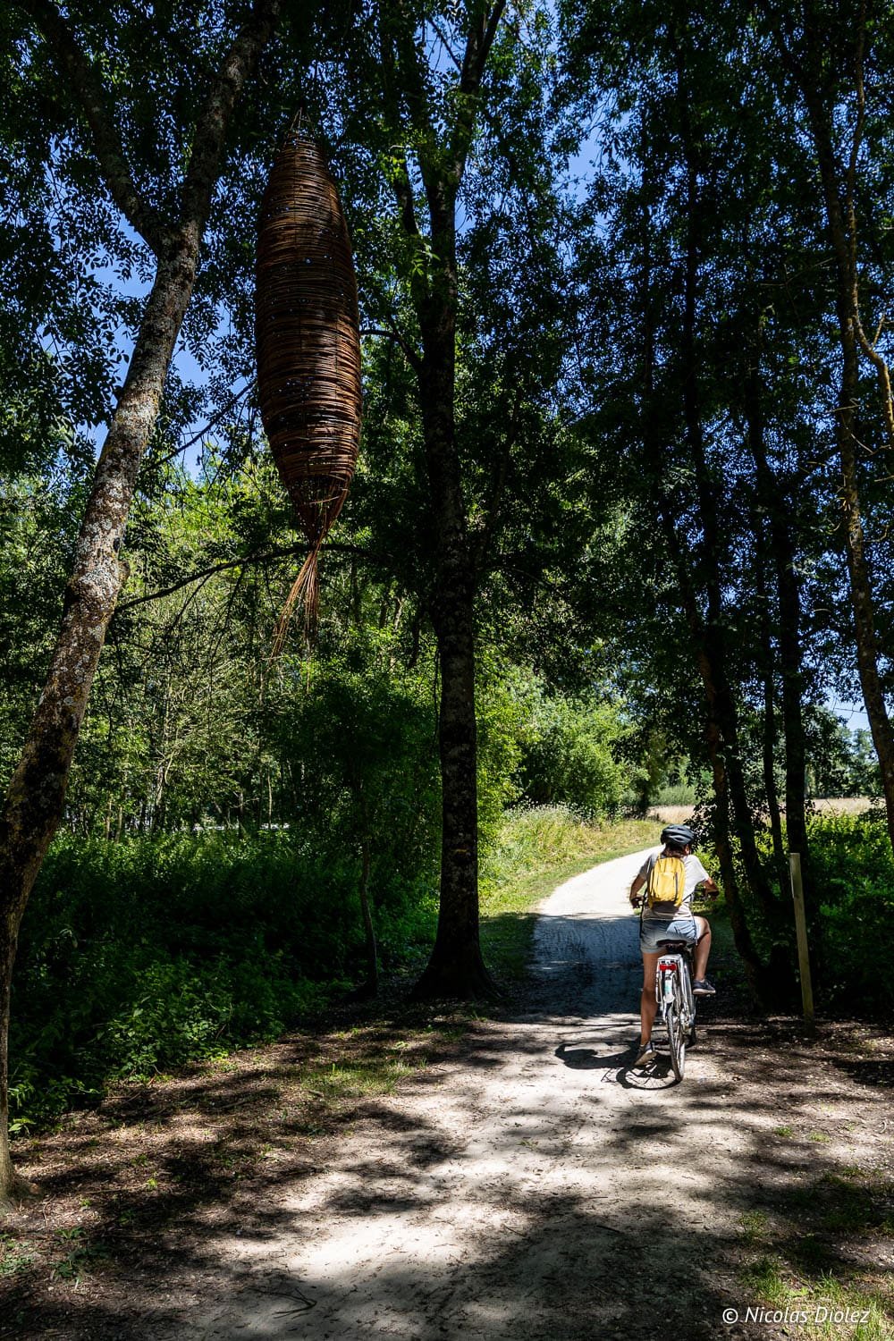 Cycliste sur un chemin boisé près d'une sculpture végétale suspendue à Loches.