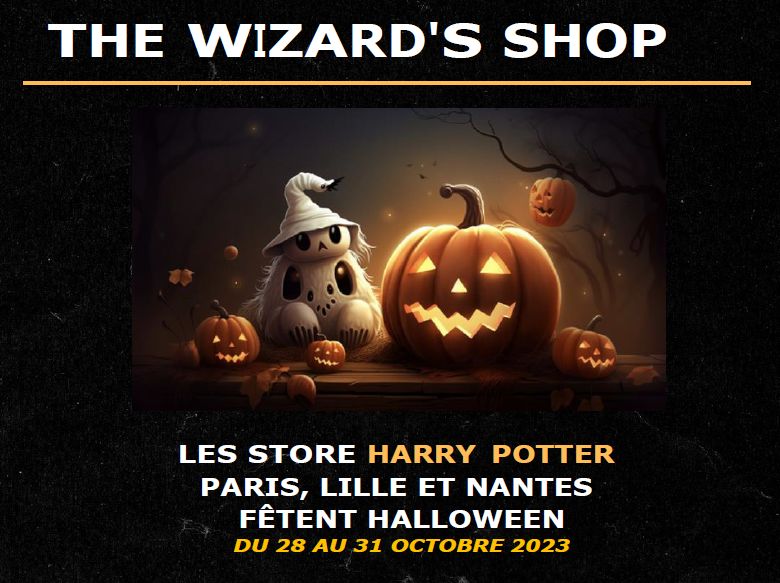 Halloween Store Harry Potter
