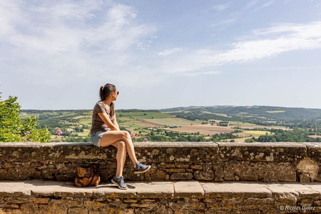 Panoramic green view from Cordes-sur-Ciel with pink flowers in the foreground.