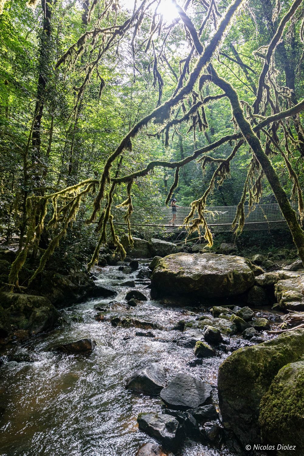 Randonnée ruisseau sous pont suspendu, branches moussues Cascades d'Arifat.
