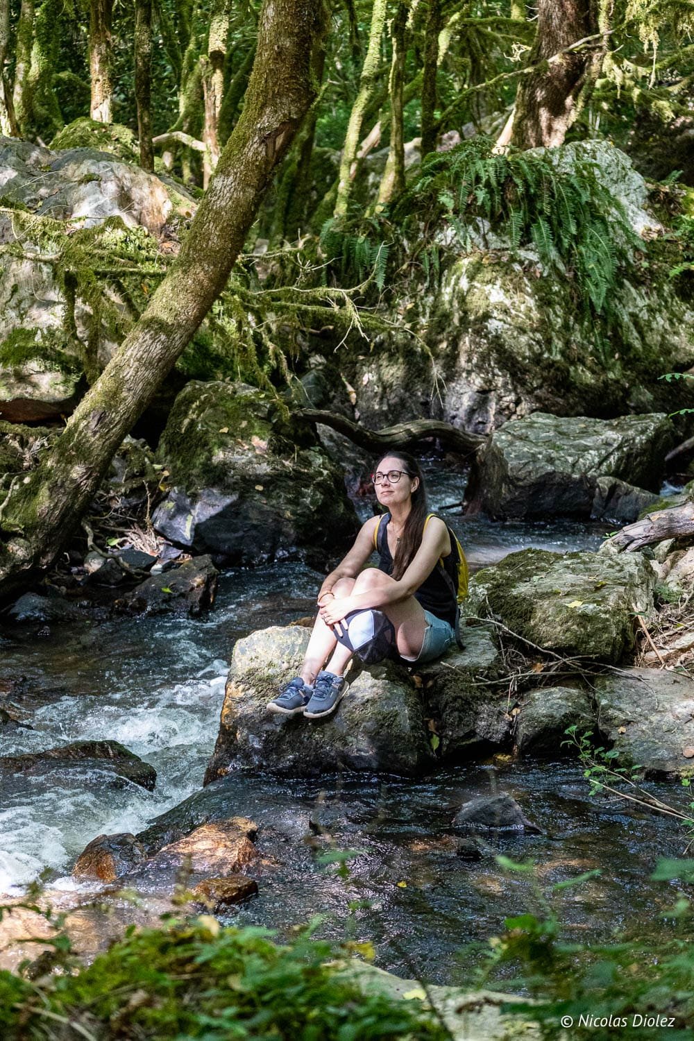 Randonneuse assise sur un rocher près d'un ruisseau dans une forêt dense.