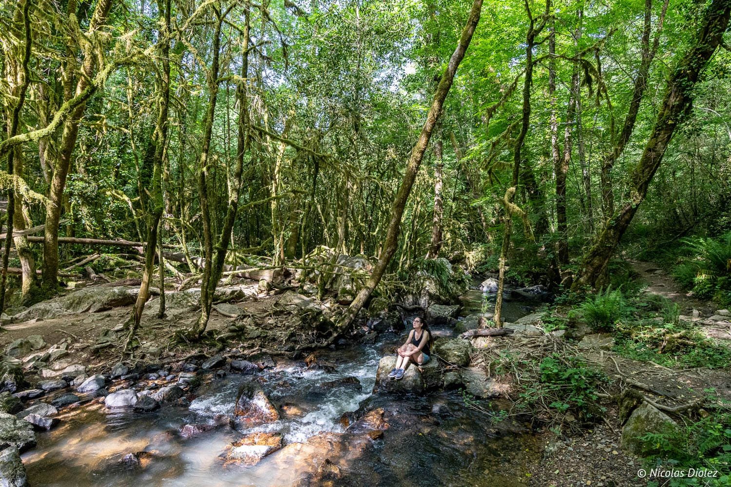 Randonnée aux Cascades d'Arifat, femme près du ruisseau dans une forêt luxuriante.