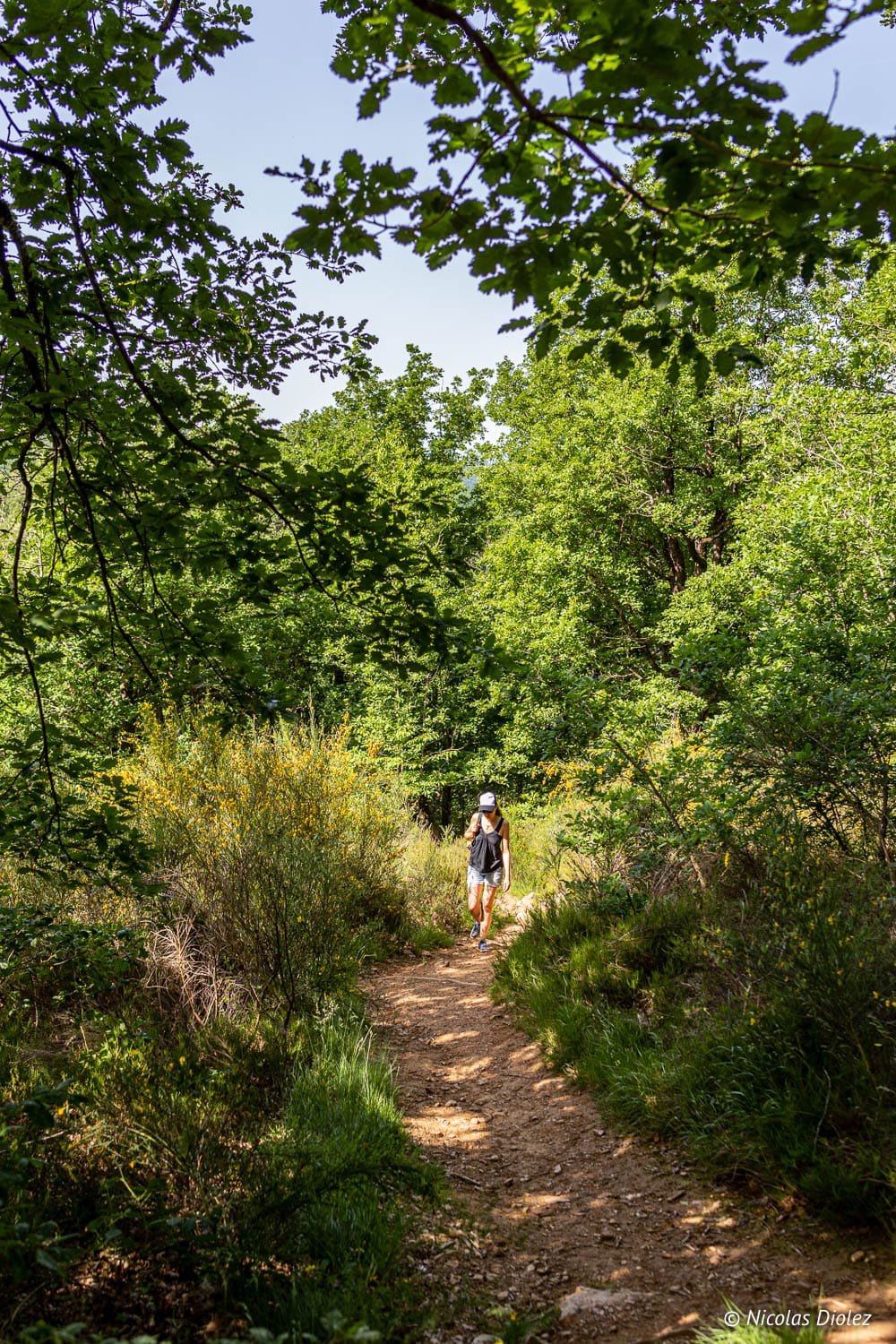 Randonnée aux Cascades d'Arifat, femme sur sentier forestier bordé de verdure et fleurs jaunes.