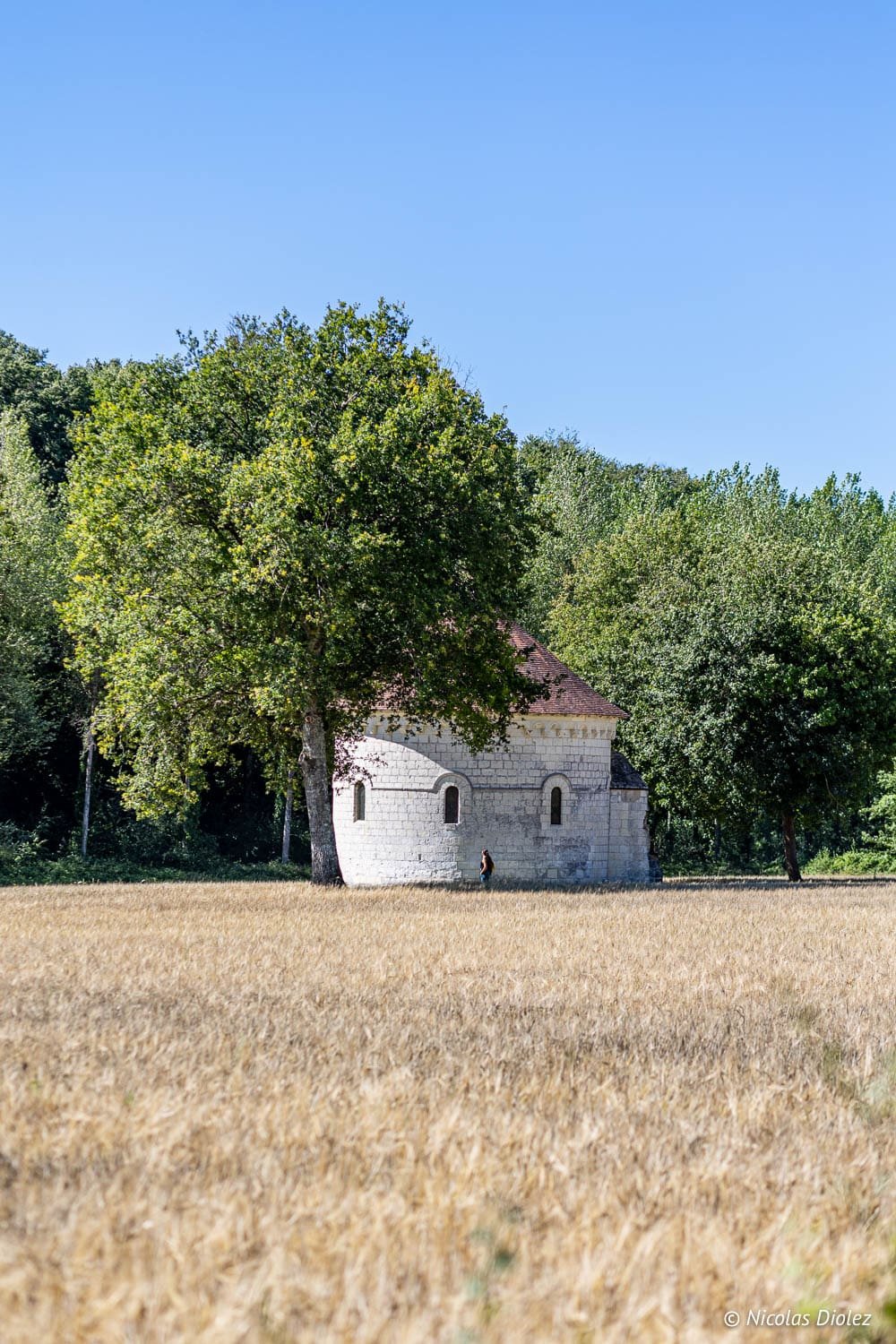 Chapelle romane en pierre près d'un champ de blé et d'arbres, Forêt de Loches.