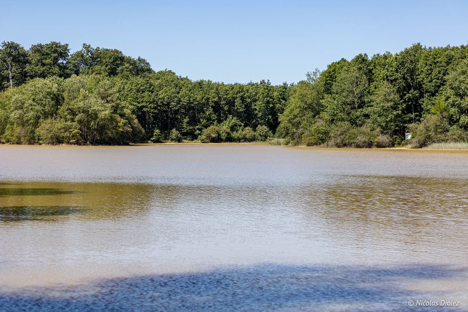 Étang aux abords de la forêt de Loches, Sud Touraine.