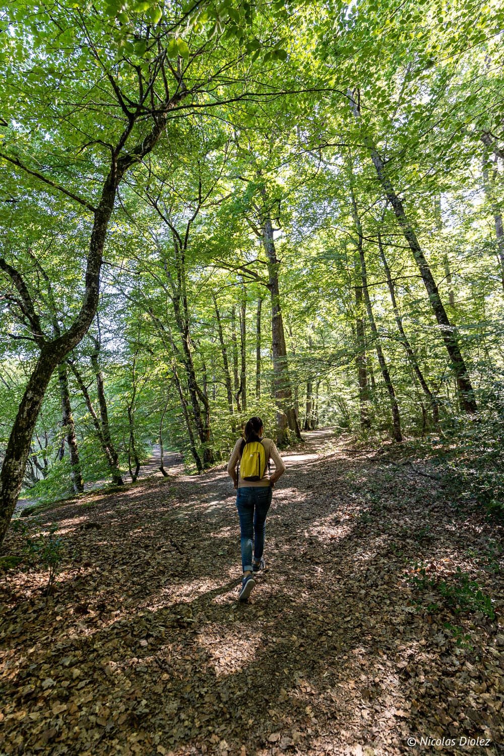 Randonnée dans la forêt de Loches, femme avec sac à dos jaune sur chemin ombragé.