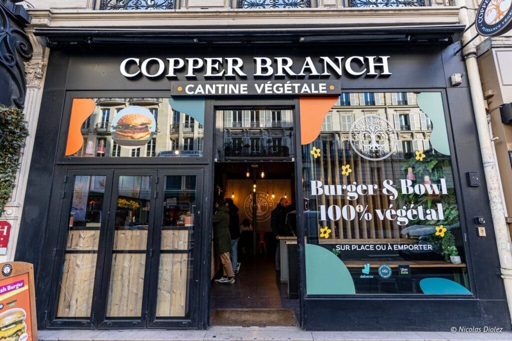 Copper Branch Paris DR Nicolas Diolez 2024 3