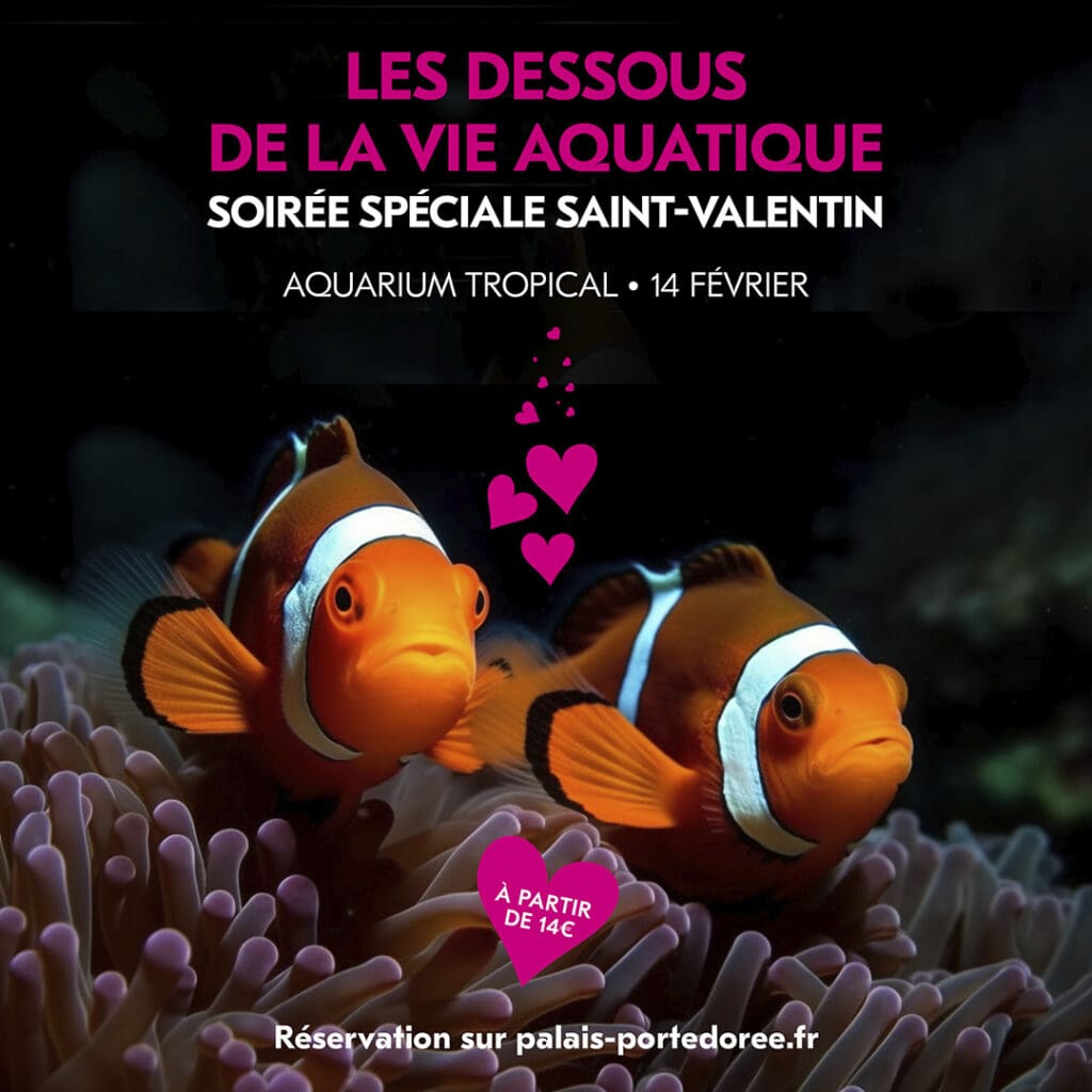 Saint-Valentin Aquarium de Paris