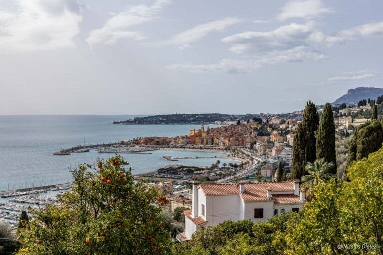 Het Citroenfestival van Menton