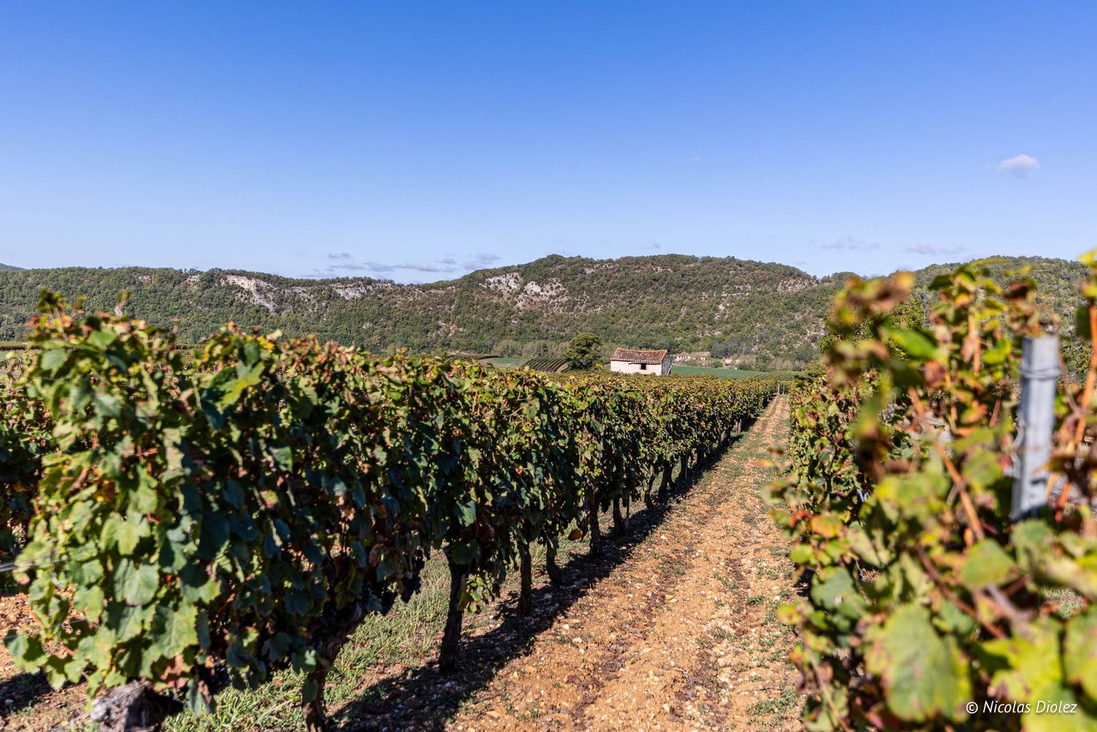 Découvrir Cahors, son vin et la vallée du Lot