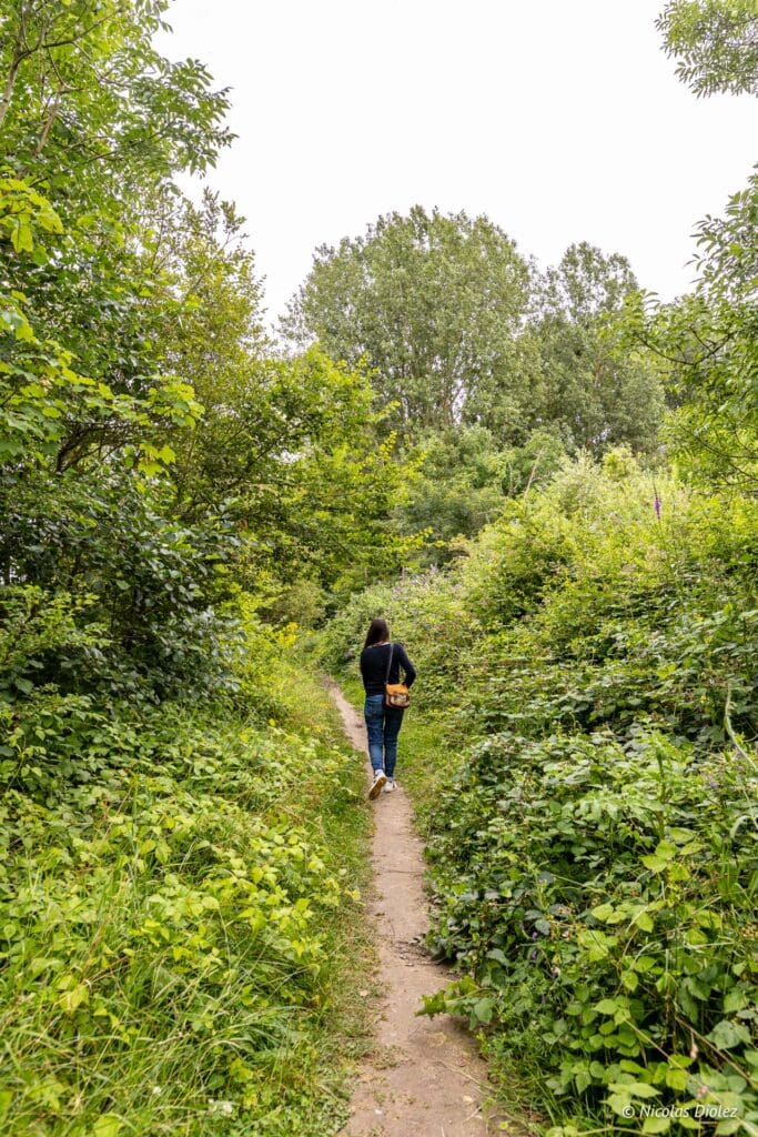 Balade sur les berges Soissons DR Nicolas Diolez 2024 2