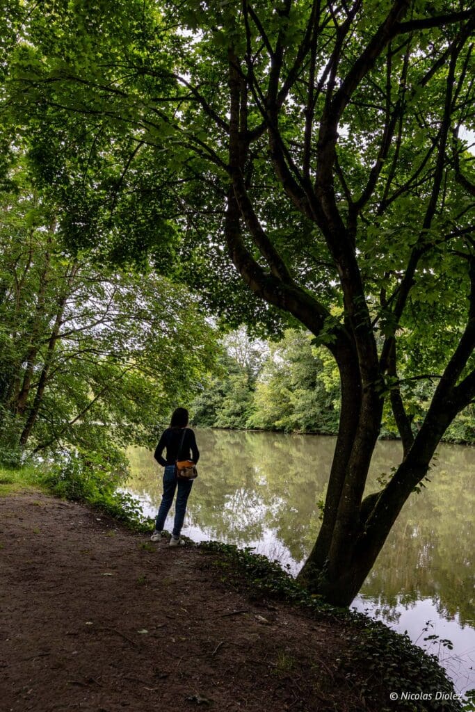 Balade sur les berges Soissons DR Nicolas Diolez 2024 5