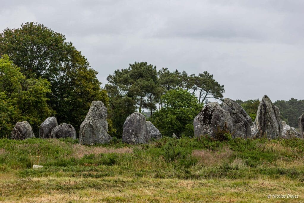 Carnac DR Nicolas Diolez 2024 33