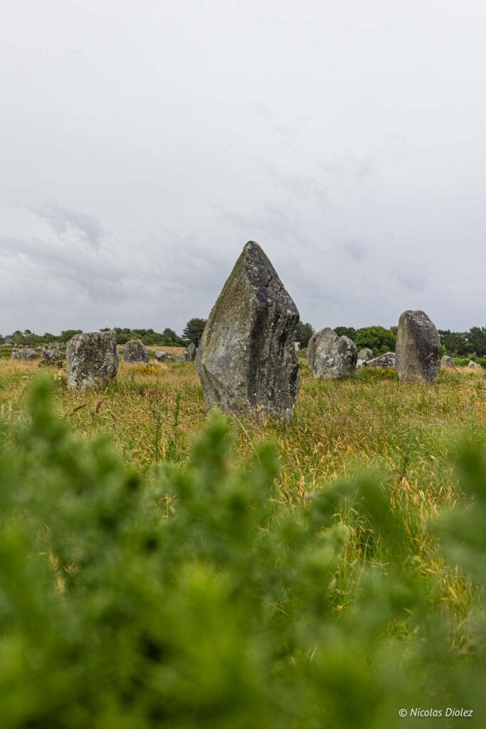 Carnac DR Nicolas Diolez 2024 38