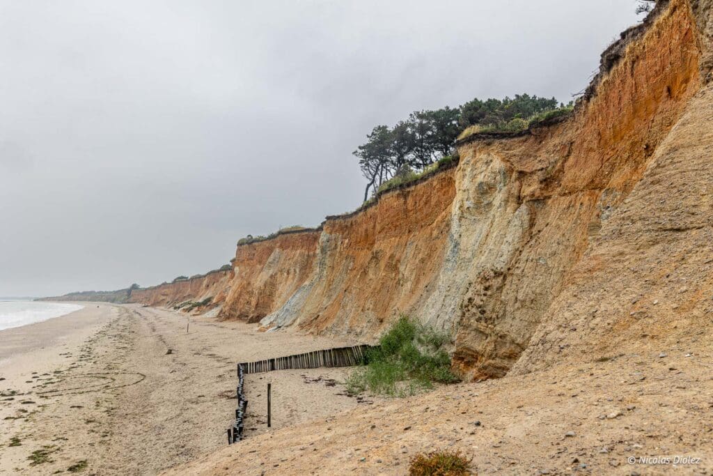 Plage de la mine d or DR Nicolas Diolez 2024