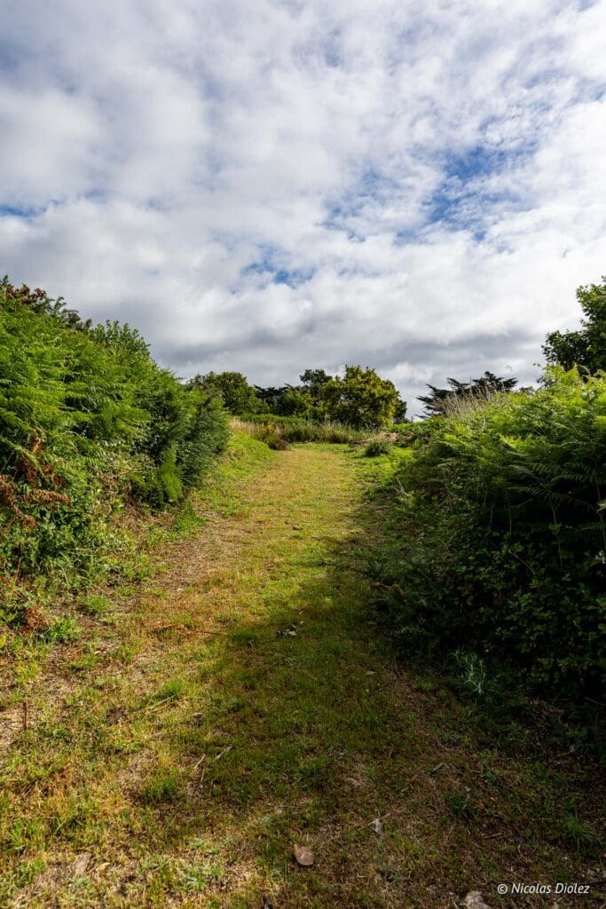 Segway Carnac DR Nicolas Diolez 2024 5