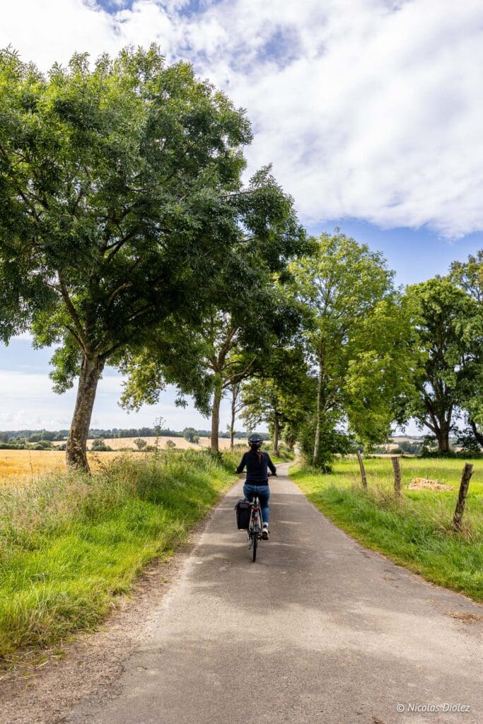 Velo Nogent le Rotrou DR Nicolas Diolez 2024 4