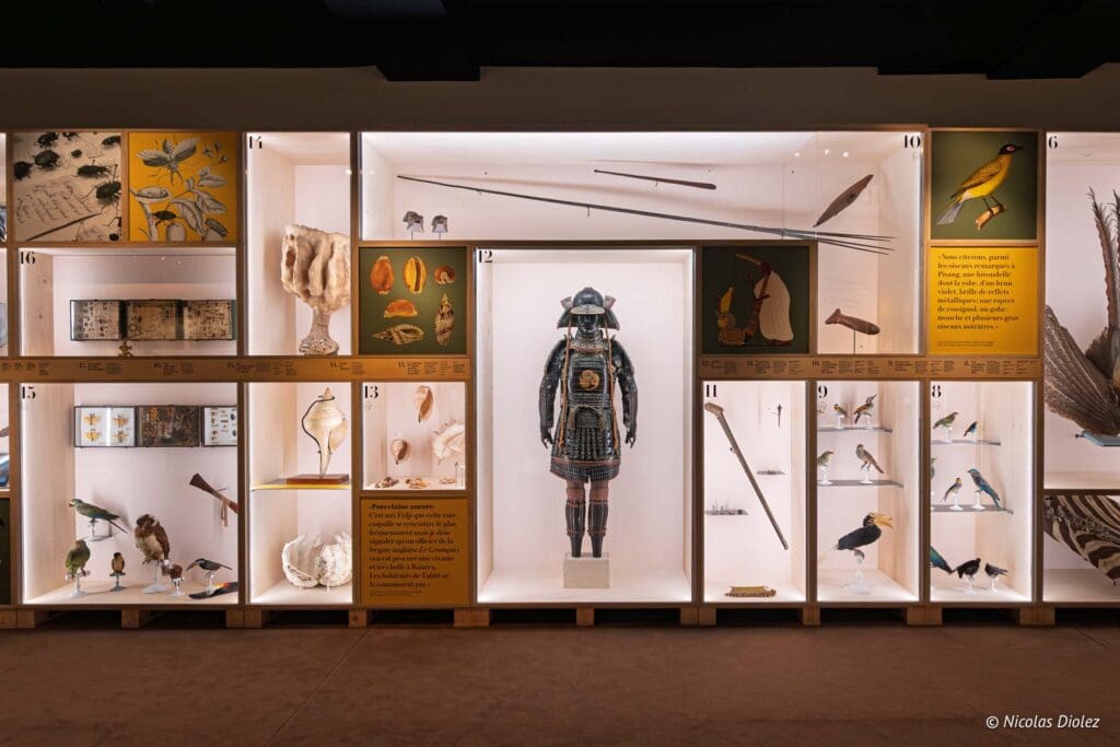 Musee histoire naturelle Nantes DR Nicolas Diolez 2025 6