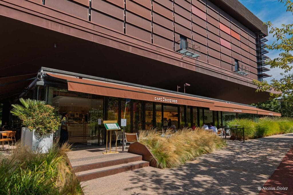 Cafe Jacques Quai Branly Paris DR Nicolas Diolez 2025 3