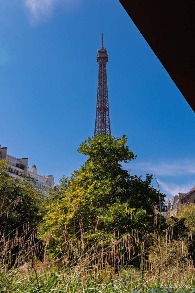 Cafe Jacques Quai Branly Paris DR Nicolas Diolez 2025 9