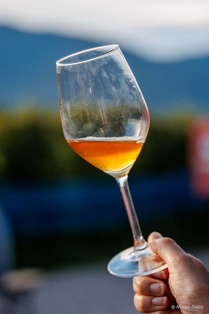 Domaine Achillee DR Nicolas Diolez 2024 15